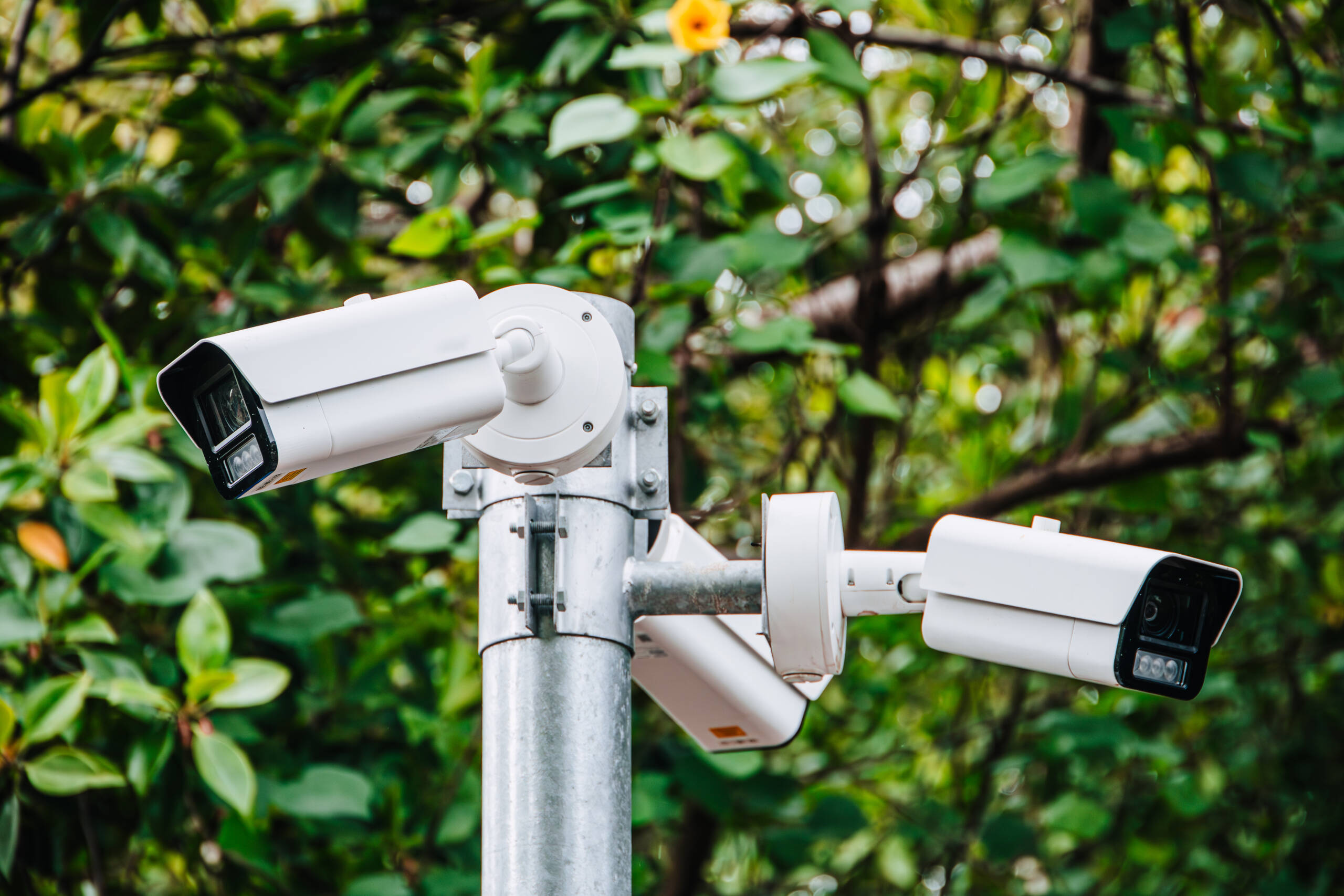 Camera System License Plate System Fusion Studios